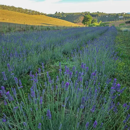Podere Pischiarano Bauernhof